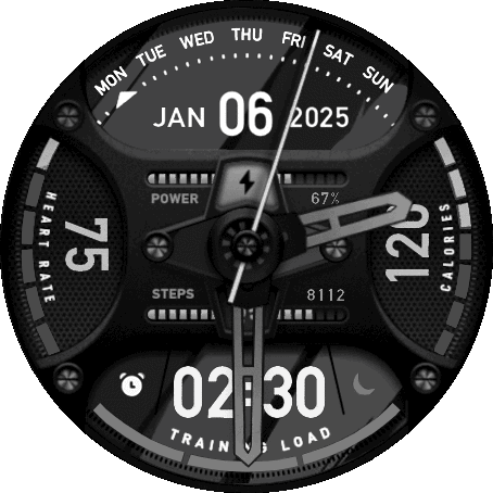 Sports-Element-T-Rex2-V3.5