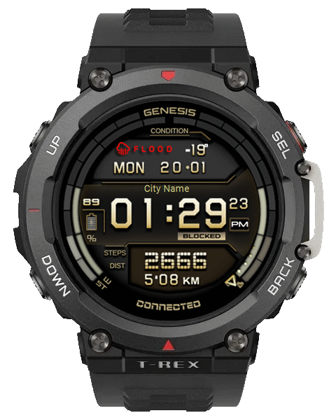 HT T2 006B Genesis Gold