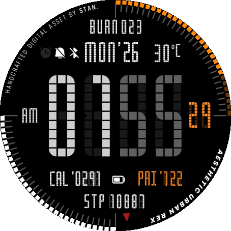 Aesthetic Urban Rex (ORANGE) | Tactical Digital Asset