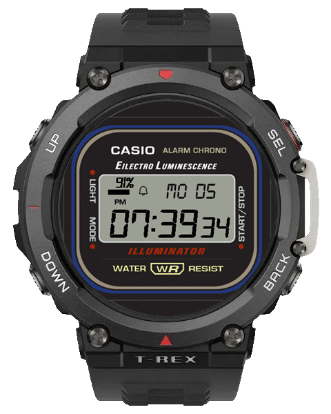 Casio old watch