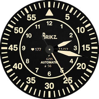 Pilot Flieger Type B