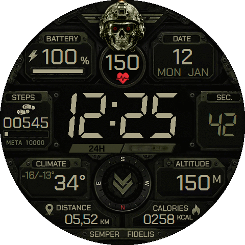 Tactical Army Skull