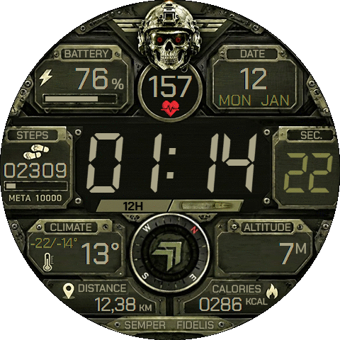 Tactical Army Skull