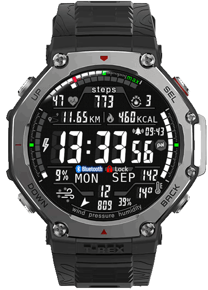 Model_38