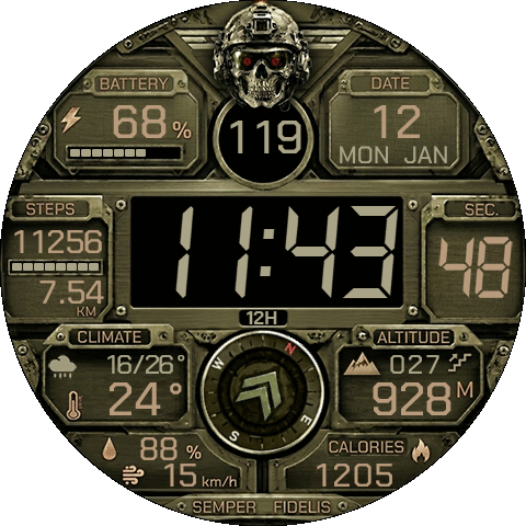Tactical Army Skull