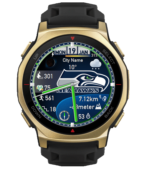 Seahawks_demo