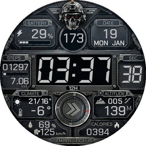 Tactical Army Skull mk2