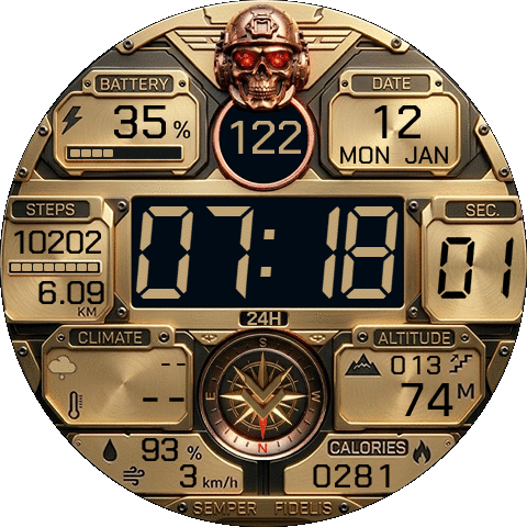 Tactical Army Skull mk3