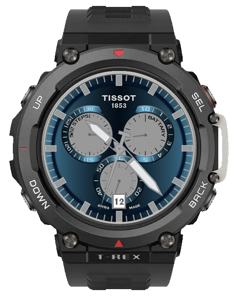 Tissot Watch
