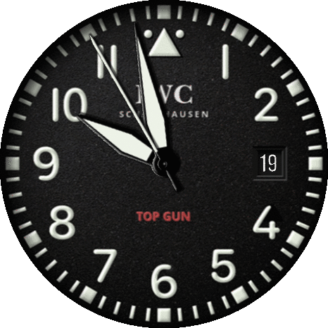 IWC Top Gun