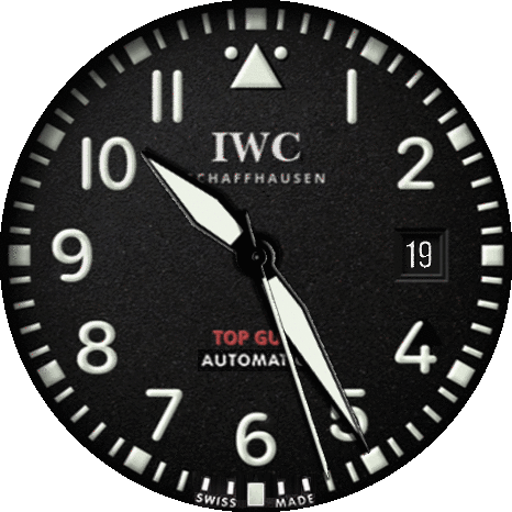 IWC Top Gun