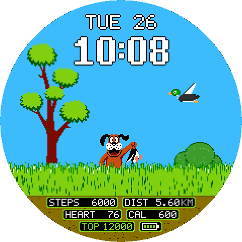 Duck Hunt