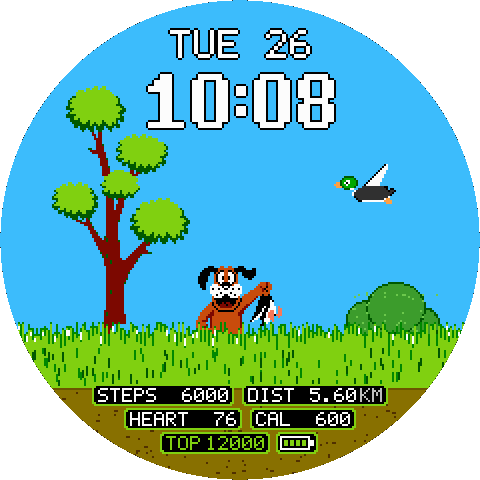 Duck Hunt