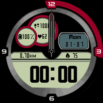 Sport Master VL 24h/12h (EN, KR)