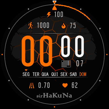 Orange Hexagon sirHaKuNa PTBR 24h