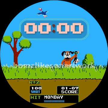 THE DUCK HUNT