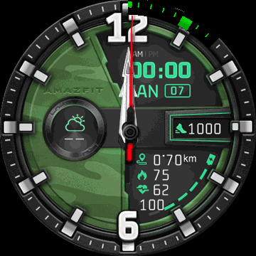 Dynamic watchface with month hand