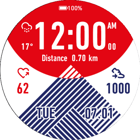 Project Garmin Forerunner 245 Music Limited Edition Revamp