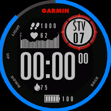 garmin