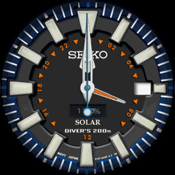 Seiko Solar