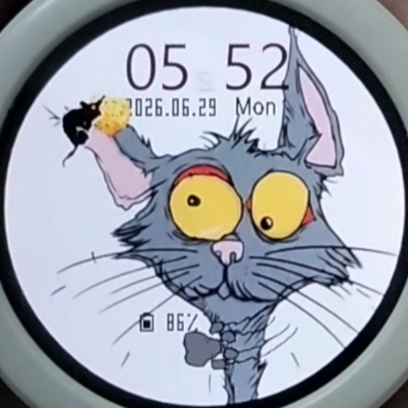 Cat Eye Mouse Watch