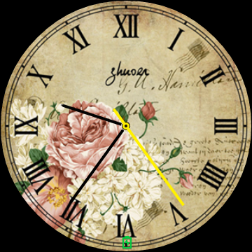 旧表盘花