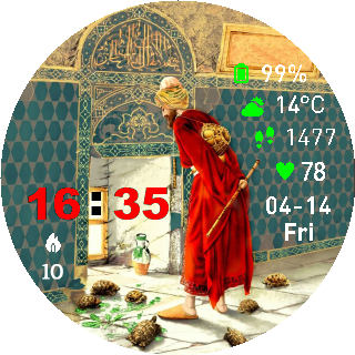 KAPLUMBAĞA TERBİYECİSİ